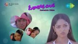 Seethakoka Chiluka Telugu Movie Songs