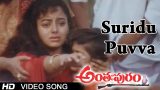 Suridu Puvva Video Song | Anthapuram